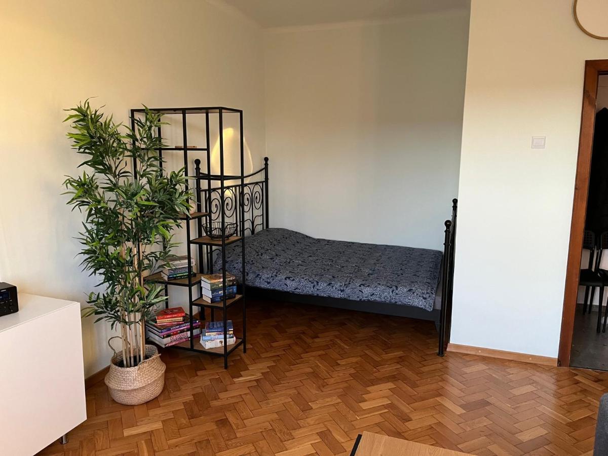 Apartament Planty 2/8 Lejlighed Zamość Eksteriør billede